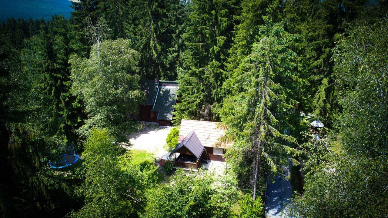 Cabana Adrienne Izvoru Muresului Exterior photo